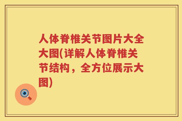 人体脊椎关节图片大全大图(详解人体脊椎关节结构,全方位展示大图) 人体脊椎关节图片大全大图(详解人体脊椎关节结构,全方位展示大图)