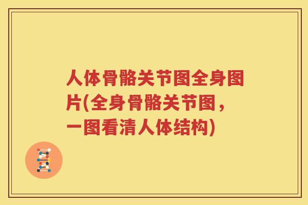 人体骨骼关节图全身图片(全身骨骼关节图,一图看清人体结构) 人体骨骼关节图全身图片(全身骨骼关节图,一图看清人体结构)