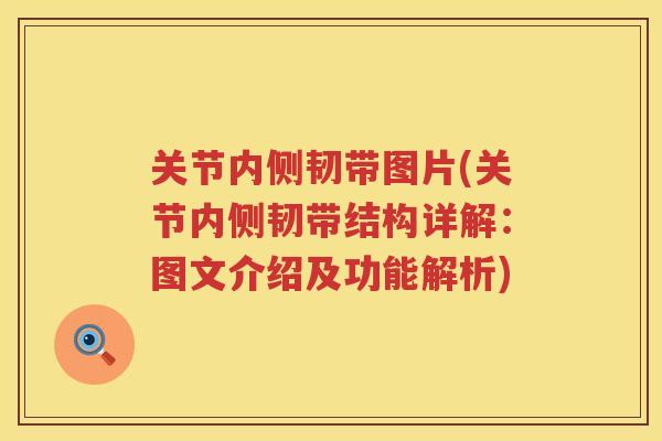 关节内侧韧带图片(关节内侧韧带结构详解:图文介绍及功能解析) 关节内侧韧带图片(关节内侧韧带结构详解:图文介绍及功能解析)