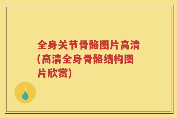 全身关节骨骼图片高清(高清全身骨骼结构图片欣赏)