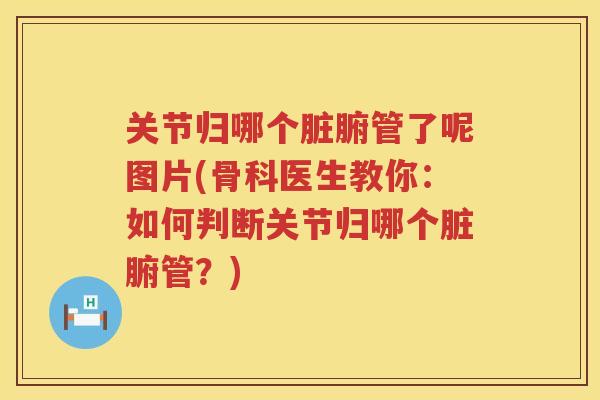 关节归哪个脏腑管了呢图片(骨科医生教你:如何判断关节归哪个脏腑管?) 关节归哪个脏腑管了呢图片(骨科医生教你:如何判断关节归哪个脏腑管?)