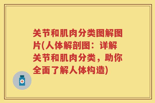 关节和肌肉分类图解图片(人体解剖图：详解关节和肌肉分类，助你全面了解人体构造)