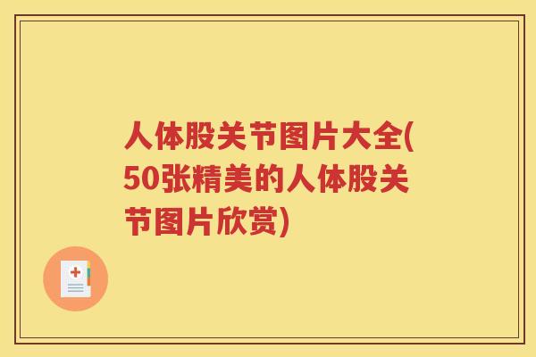 人体股关节图片大全(50张精美的人体股关节图片欣赏)