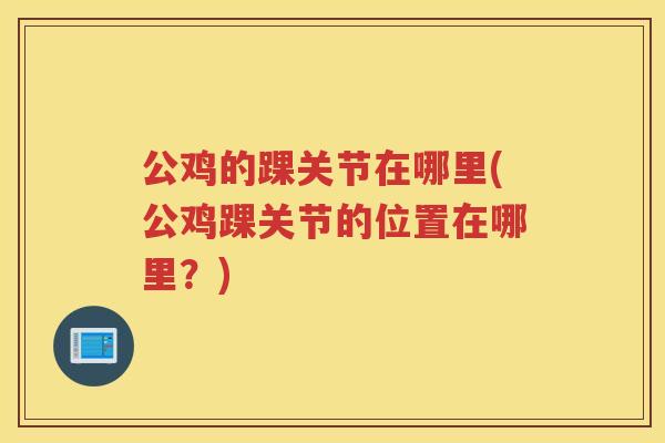 公鸡的踝关节在哪里(公鸡踝关节的位置在哪里?) 公鸡的踝关节在哪里(公鸡踝关节的位置在哪里?)