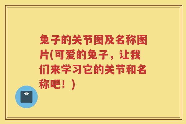 兔子的关节图及名称图片(可爱的兔子,让我们来学习它的关节和名称吧!) 兔子的关节图及名称图片(可爱的兔子,让我们来学习它的关节和名称吧!)