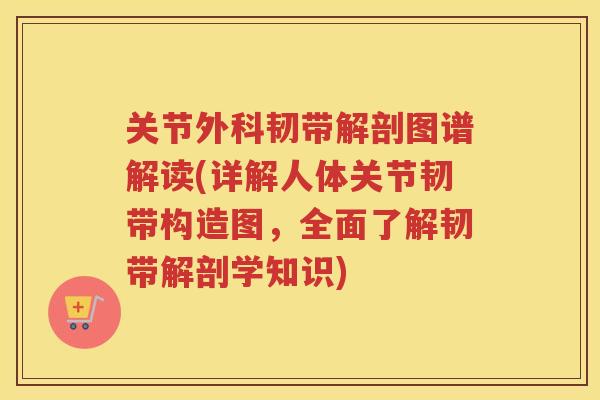 关节外科韧带解剖图谱解读(详解人体关节韧带构造图,全面了解韧带解剖学知识) 关节外科韧带解剖图谱解读(详解人体关节韧带构造图,全面了解韧带解剖学知识)