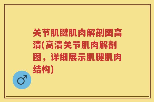 关节肌腱肌肉解剖图高清(高清关节肌肉解剖图，详细展示肌腱肌肉结构)