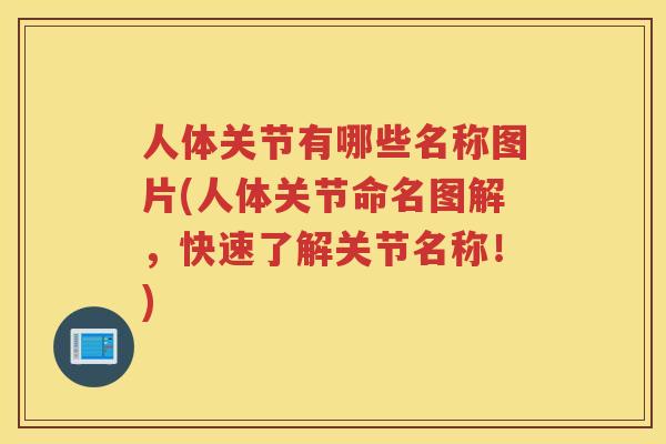 人体关节有哪些名称图片(人体关节命名图解，快速了解关节名称！)