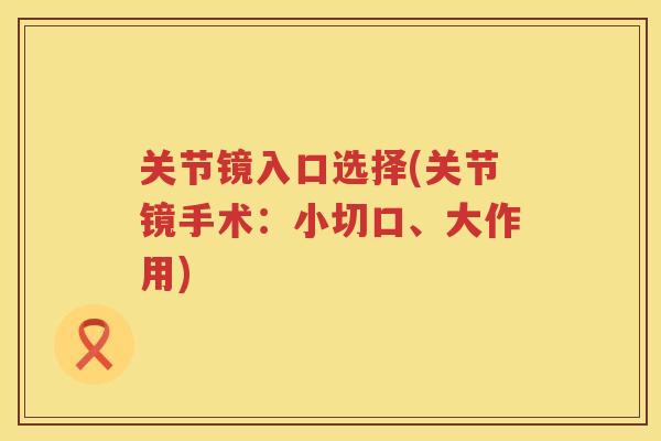 关节镜入口选择(关节镜手术:小切口、大作用) 关节镜入口选择(关节镜手术:小切口、大作用)