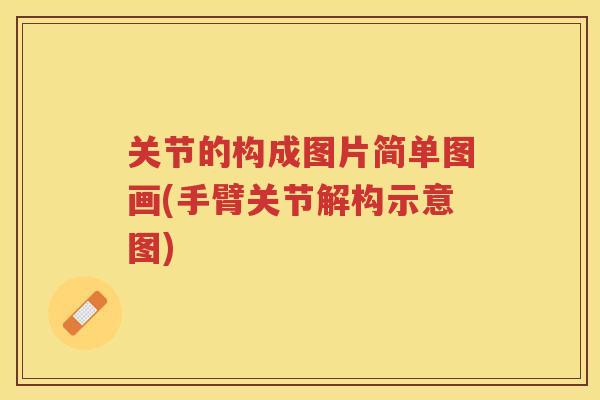 关节的构成图片简单图画(手臂关节解构示意图) 关节的构成图片简单图画(手臂关节解构示意图)
