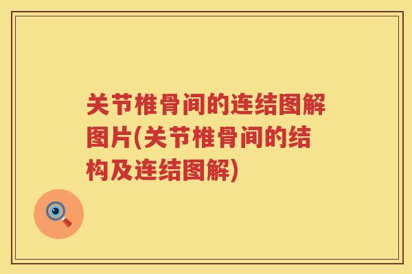 关节椎骨间的连结图解图片(关节椎骨间的结构及连结图解) 关节椎骨间的连结图解图片(关节椎骨间的结构及连结图解)