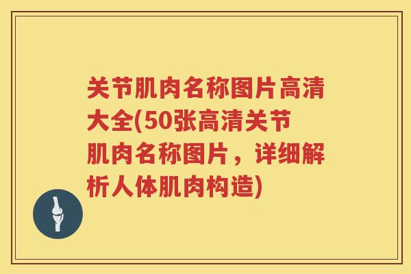 关节肌肉名称图片高清大全(50张高清关节肌肉名称图片，详细解析人体肌肉构造)