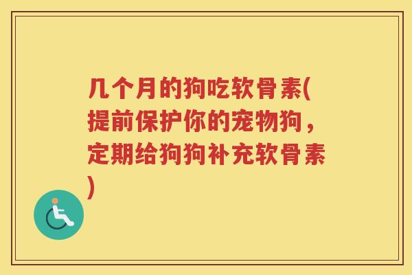 几个月的狗吃软骨素(提前保护你的宠物狗,定期给狗狗补充软骨素) 几个月的狗吃软骨素(提前保护你的宠物狗,定期给狗狗补充软骨素)
