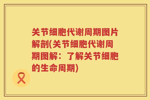 关节细胞代谢周期图片解剖(关节细胞代谢周期图解:了解关节细胞的生命周期) 关节细胞代谢周期图片解剖(关节细胞代谢周期图解:了解关节细胞的生命周期)