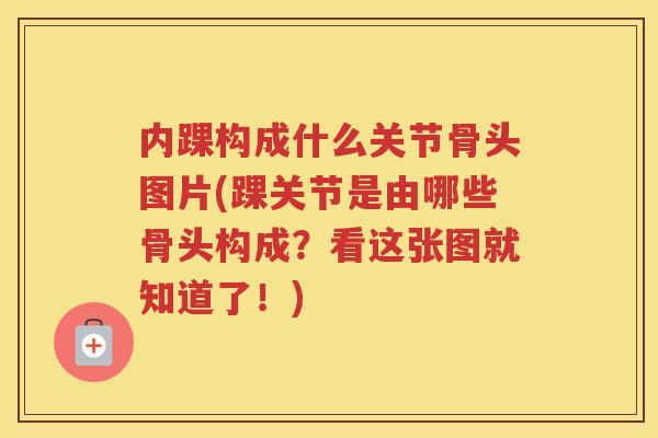 内踝构成什么关节骨头图片(踝关节是由哪些骨头构成？看这张图就知道了！)