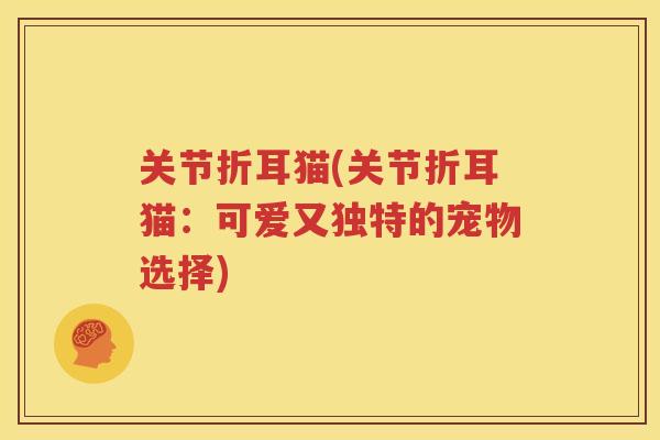 关节折耳猫(关节折耳猫:可爱又独特的宠物选择) 关节折耳猫(关节折耳猫:可爱又独特的宠物选择)