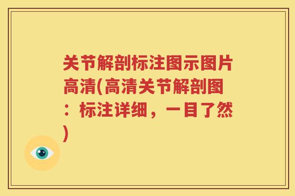 关节解剖标注图示图片高清(高清关节解剖图：标注详细，一目了然)