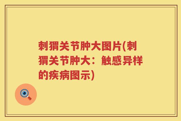 刺猬关节肿大图片(刺猬关节肿大:触感异样的图示) 刺猬关节肿大图片(刺猬关节肿大:触感异样的图示)