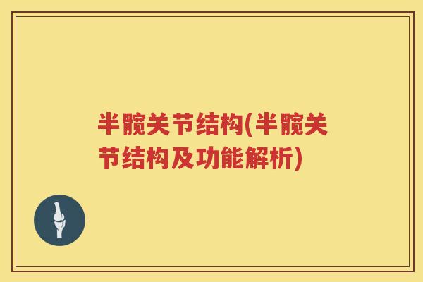 半髋关节结构(半髋关节结构及功能解析) 半髋关节结构(半髋关节结构及功能解析)