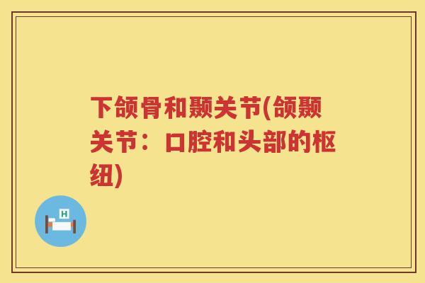 下颌骨和颞关节(颌颞关节:口腔和头部的枢纽) 下颌骨和颞关节(颌颞关节:口腔和头部的枢纽)