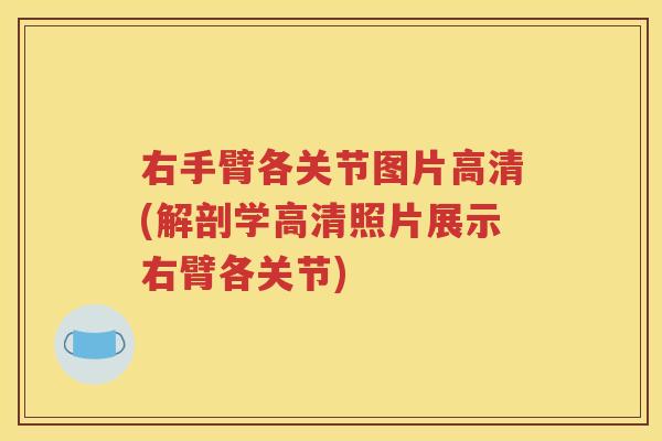 右手臂各关节图片高清(解剖学高清照片展示右臂各关节) 右手臂各关节图片高清(解剖学高清照片展示右臂各关节)
