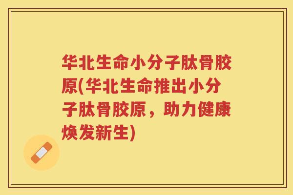 华北生命小分子肽骨胶原(华北生命推出小分子肽骨胶原,助力健康焕发新生) 华北生命小分子肽骨胶原(华北生命推出小分子肽骨胶原,助力健康焕发新生)