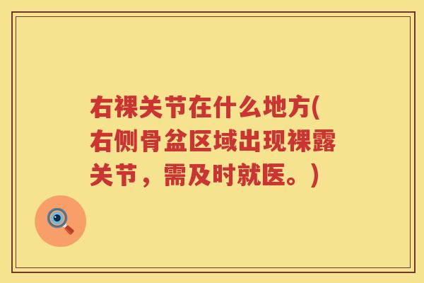 右裸关节在什么地方(右侧骨盆区域出现裸露关节，需及时就医。)