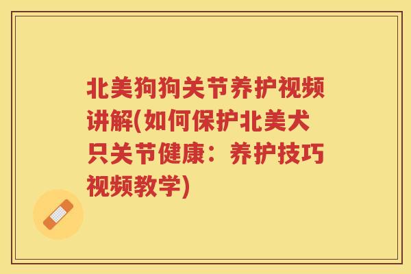 北美狗狗关节养护视频讲解(如何保护北美犬只关节健康:养护技巧视频教学) 北美狗狗关节养护视频讲解(如何保护北美犬只关节健康:养护技巧视频教学)