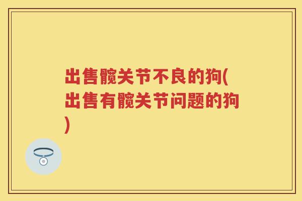 出售髋关节不良的狗(出售有髋关节问题的狗)