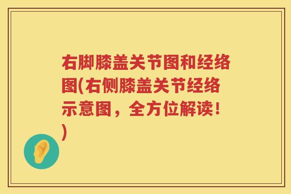 右脚膝盖关节图和经络图(右侧膝盖关节经络示意图，全方位解读！)