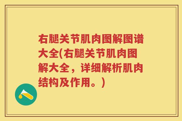 右腿关节肌肉图解图谱大全(右腿关节肌肉图解大全,详细解析肌肉结构及作用。) 右腿关节肌肉图解图谱大全(右腿关节肌肉图解大全,详细解析肌肉结构及作用。)