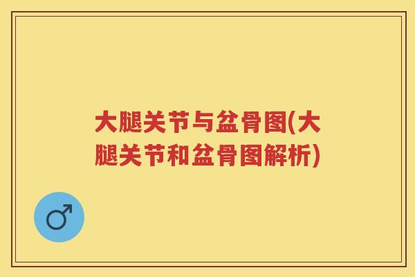 大腿关节与盆骨图(大腿关节和盆骨图解析)
