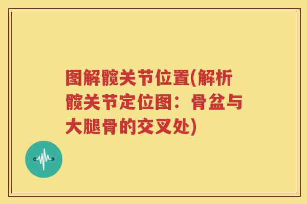 图解髋关节位置(解析髋关节定位图:骨盆与大腿骨的交叉处) 图解髋关节位置(解析髋关节定位图:骨盆与大腿骨的交叉处)