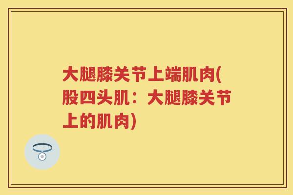 大腿膝关节上端肌肉(股四头肌:大腿膝关节上的肌肉) 大腿膝关节上端肌肉(股四头肌:大腿膝关节上的肌肉)