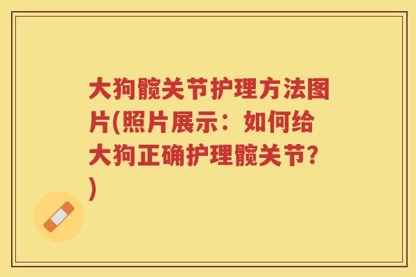 大狗髋关节护理方法图片(照片展示：如何给大狗正确护理髋关节？)