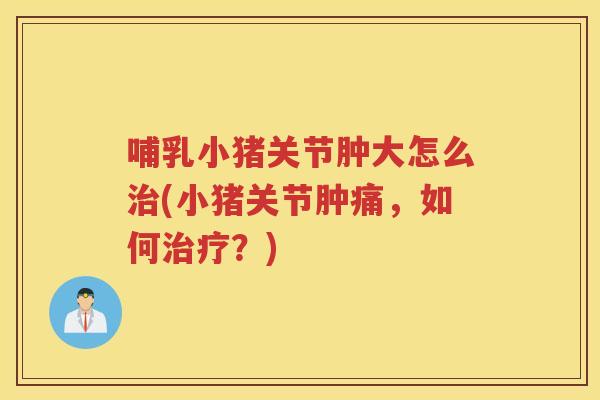 哺乳小猪关节肿大怎么(小猪关节肿痛,如何?) 哺乳小猪关节肿大怎么(小猪关节肿痛,如何?)
