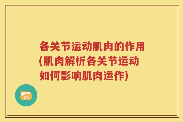 各关节运动肌肉的作用(肌肉解析各关节运动如何影响肌肉运作) 各关节运动肌肉的作用(肌肉解析各关节运动如何影响肌肉运作)