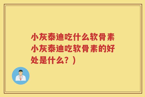 小灰泰迪吃什么软骨素小灰泰迪吃软骨素的好处是什么?) 小灰泰迪吃什么软骨素小灰泰迪吃软骨素的好处是什么?)