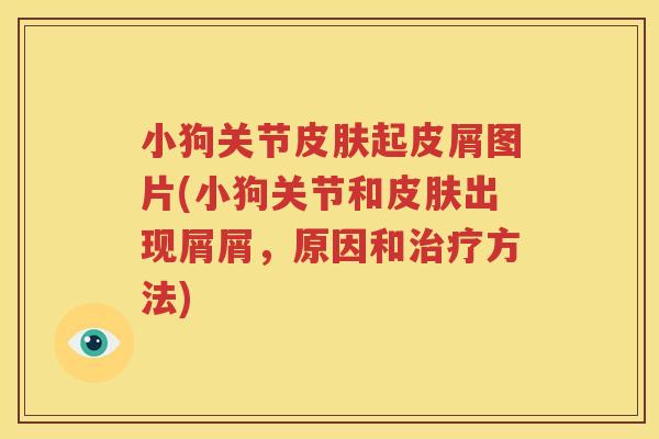 小狗关节起皮屑图片(小狗关节和出现屑屑,原因和方法) 小狗关节起皮屑图片(小狗关节和出现屑屑,原因和方法)