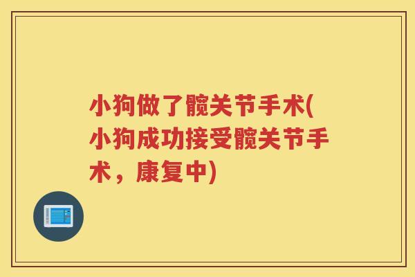 小狗做了髋关节手术(小狗成功接受髋关节手术，康复中)