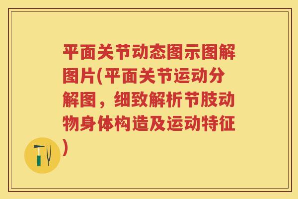 平面关节动态图示图解图片(平面关节运动分解图,细致解析节肢动物身体构造及运动特征) 平面关节动态图示图解图片(平面关节运动分解图,细致解析节肢动物身体构造及运动特征)