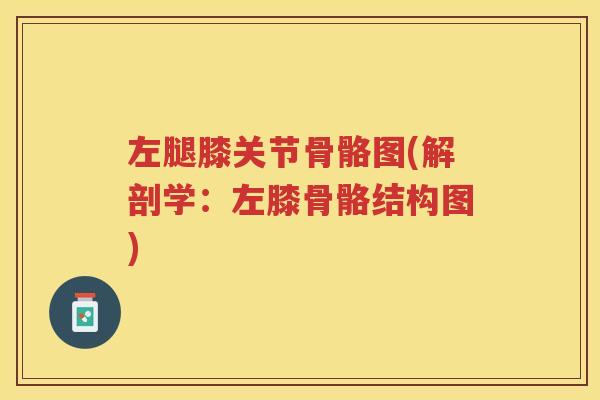 左腿膝关节骨骼图(解剖学:左膝骨骼结构图) 左腿膝关节骨骼图(解剖学:左膝骨骼结构图)