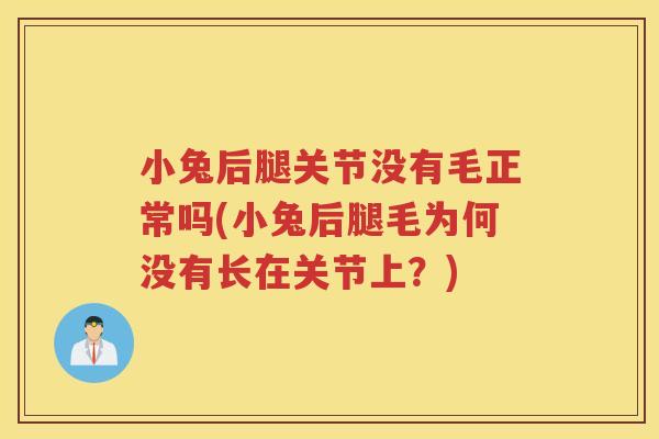 小兔后腿关节没有毛正常吗(小兔后腿毛为何没有长在关节上?) 小兔后腿关节没有毛正常吗(小兔后腿毛为何没有长在关节上?)