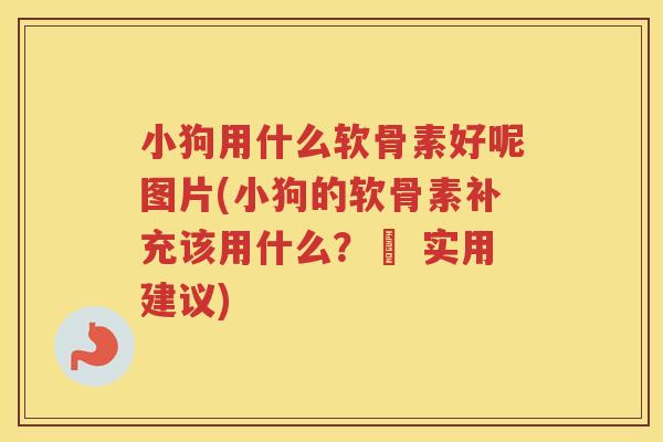 小狗用什么软骨素好呢图片(小狗的软骨素补充该用什么?– 实用建议) 小狗用什么软骨素好呢图片(小狗的软骨素补充该用什么?– 实用建议)