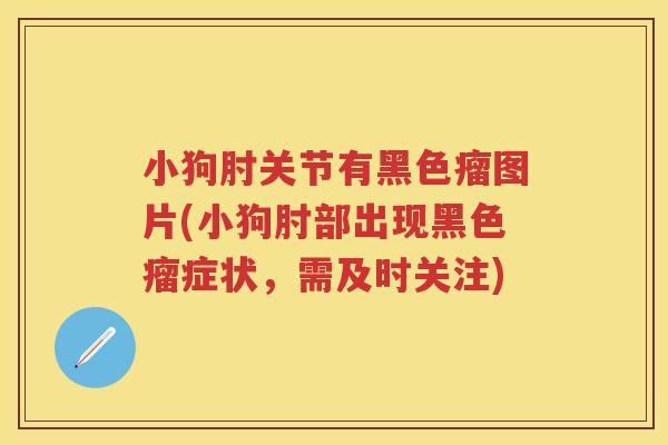 小狗肘关节有黑色瘤图片(小狗肘部出现黑色瘤症状,需及时关注) 小狗肘关节有黑色瘤图片(小狗肘部出现黑色瘤症状,需及时关注)