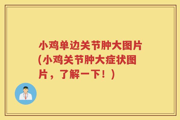 小鸡单边关节肿大图片(小鸡关节肿大症状图片,了解一下!) 小鸡单边关节肿大图片(小鸡关节肿大症状图片,了解一下!)
