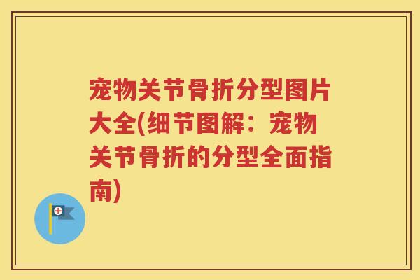 宠物关节分型图片大全(细节图解:宠物关节的分型全面指南) 宠物关节分型图片大全(细节图解:宠物关节的分型全面指南)
