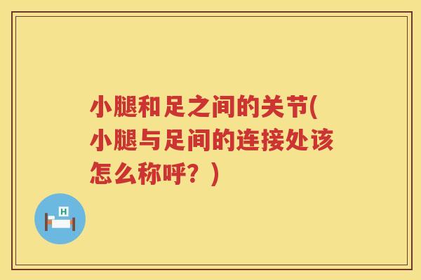 小腿和足之间的关节(小腿与足间的连接处该怎么称呼?) 小腿和足之间的关节(小腿与足间的连接处该怎么称呼?)