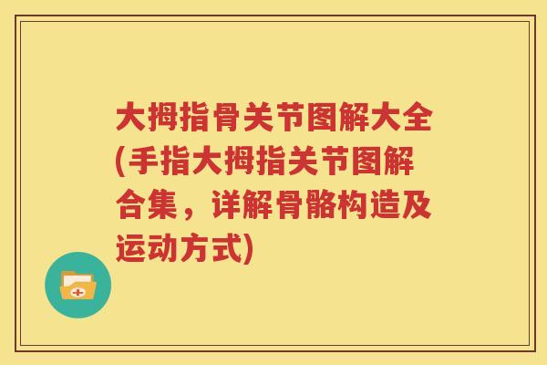 大拇指骨关节图解大全(手指大拇指关节图解合集,详解骨骼构造及运动方式) 大拇指骨关节图解大全(手指大拇指关节图解合集,详解骨骼构造及运动方式)