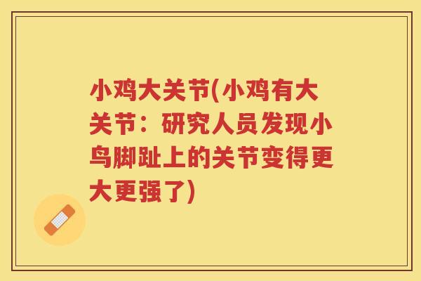 小鸡大关节(小鸡有大关节:研究人员发现小鸟脚趾上的关节变得更大更强了) 小鸡大关节(小鸡有大关节:研究人员发现小鸟脚趾上的关节变得更大更强了)